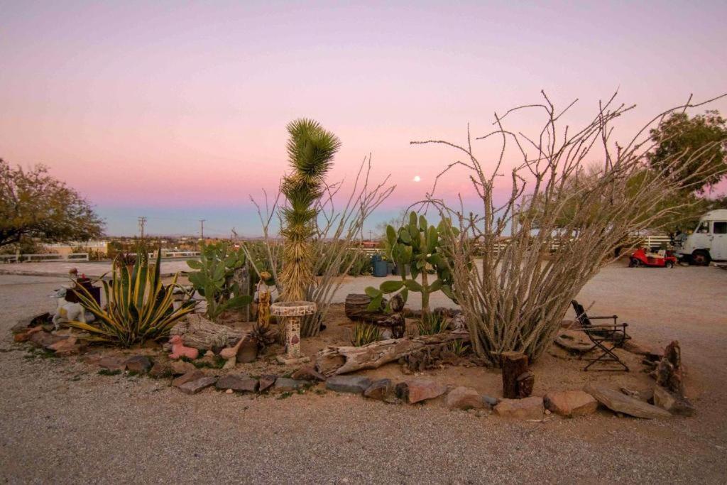 Joshua Tree Ranch House Motel - Downtown - Room #3 エクステリア 写真